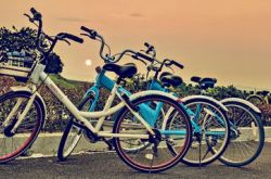 共享单车，或许是中国创业史上最